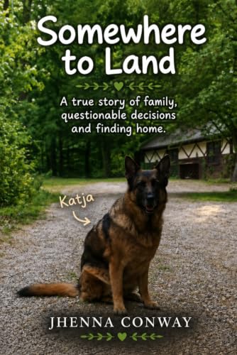 Somewhere to Land: A True Story of Family, Questionable Decisions...
