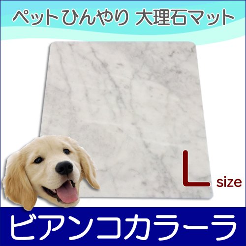 老犬のための暑さ対策 注意すべきポイントとおすすめクールアイテム 老犬のための暑さ対策 注意すべきポイントとおすすめクールアイテム