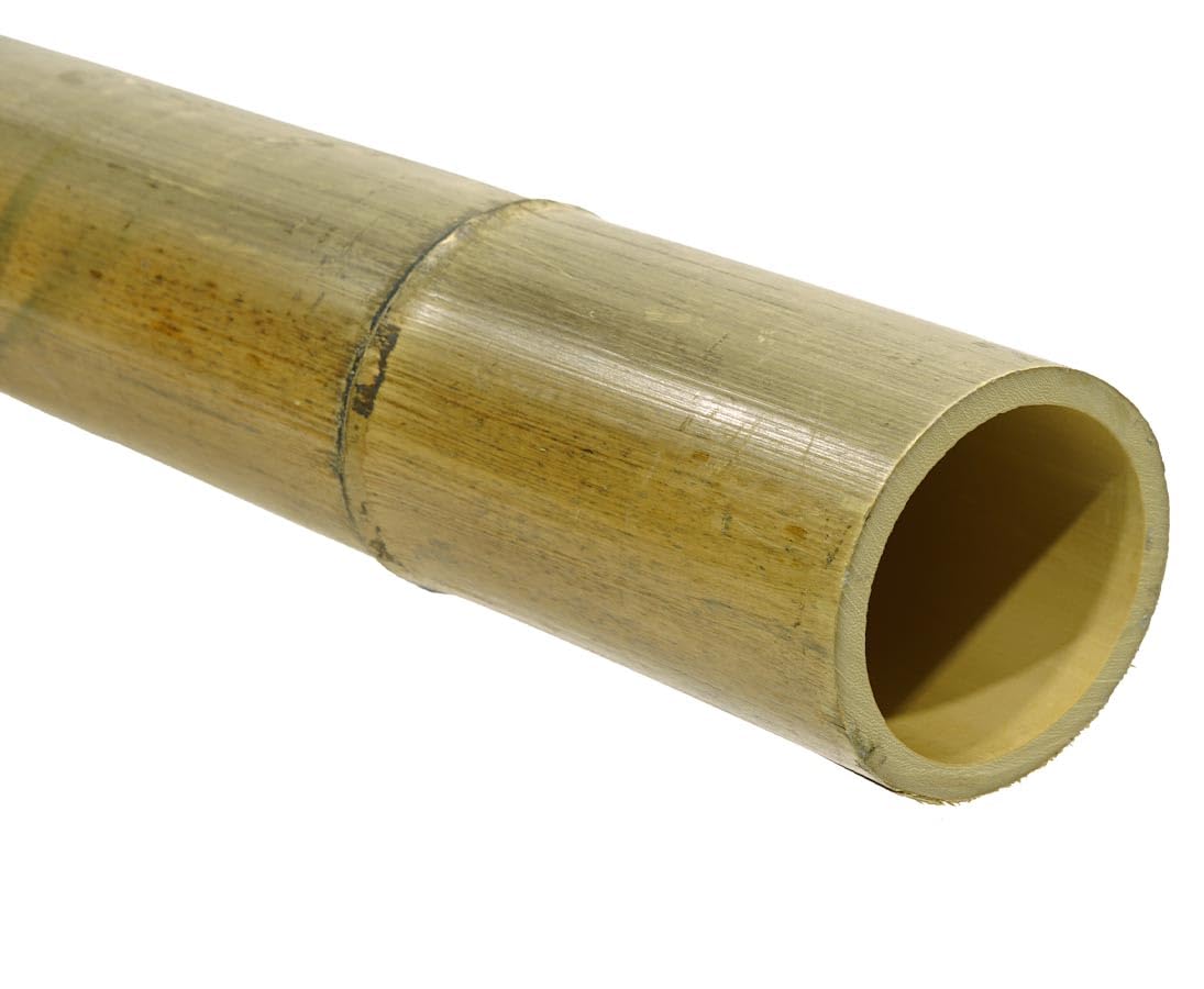 Bambusrohr XL hitzebehandelt 200cm 14-16cm Durchmesser