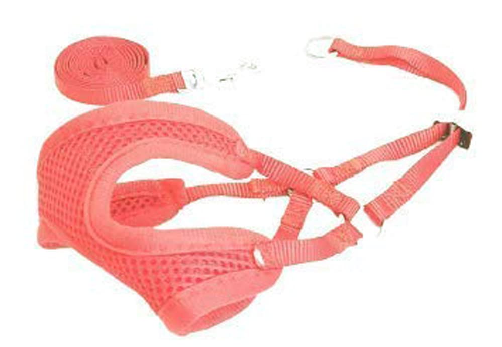 See full amazon price history chart for RvPaws Puppy Harness and Leash Set - Dog Vest Harness for Small Dogs and Cat, Puppy - Adjustable Multicolor Step in Harness for Dogs - Soft Mesh Comfort Fit No Pull No Choke (Color May Vary) RvPaws Puppy Harness and Leash Set - Dog Vest Harness for Small Dogs and Cat, Puppy - Adjustable Multicolor Step in Harness for Dogs - Soft Mesh Comfort Fit No Pull No Choke (Color May Vary) (B0BFFGPT9L) Amazon Price History, Amazon Price Tracker