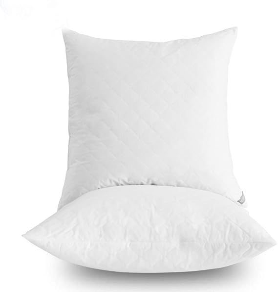 Dream High Premium Goose Down Feather Throw Pillow Inserts(Set of 2