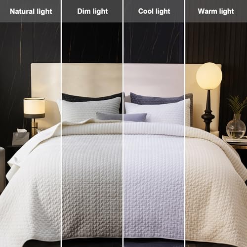 Powdion Velvet Quilt Queen Size, Oversized Bedspread Quilted Bedding Set, Luxurious Soft Coverlet Set Lightweight Velvet Comforter for All Season with Pillow Shams, Striped, Full/Queen, White