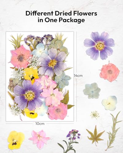 Image of Resiners 100Pcs Dried Flowers, Pressed Flowers for Craft(Retro Style)
