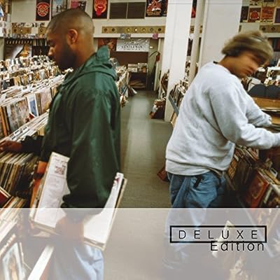 Endtroducing