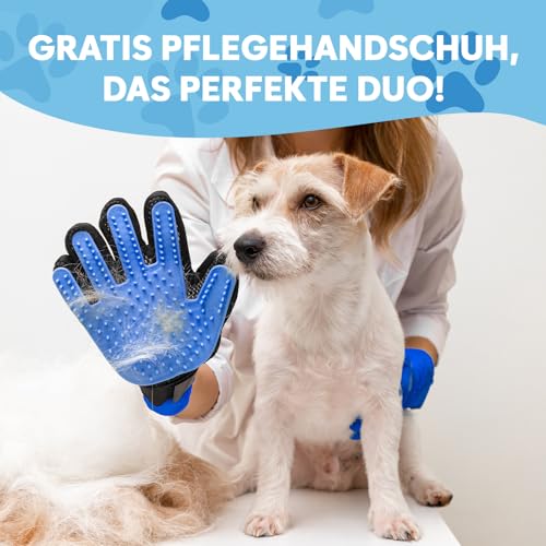 Okköbi Carpet Rake - Fellfeger Besen – Pet Hair Remover für Teppich & Möbel – Gummibesen mit Stiel – Hundehaare Entfernen – Teppich Bürste für Tierhaare – Fellfeger für Teppiche & Böden