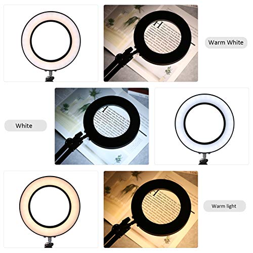 Loupe avec lampe à clip LED x8 luminosité variable via USB - 4