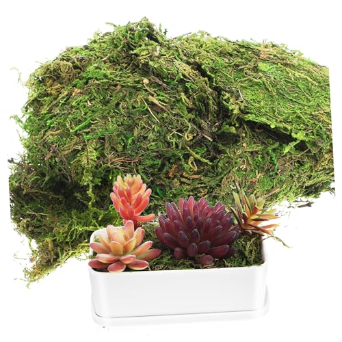 HOODANCOS Artificial Dyed Faux for Garden Decor Craft Projects Indoor Potted Plants Home Decor Floral Arrangements Centerpieces