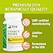 Jiva Botanicals Chanca Piedra Supplement - 550 mg per Serving - 500mg Extract with 50mg Queen of The Meadow - 2 Months Supply