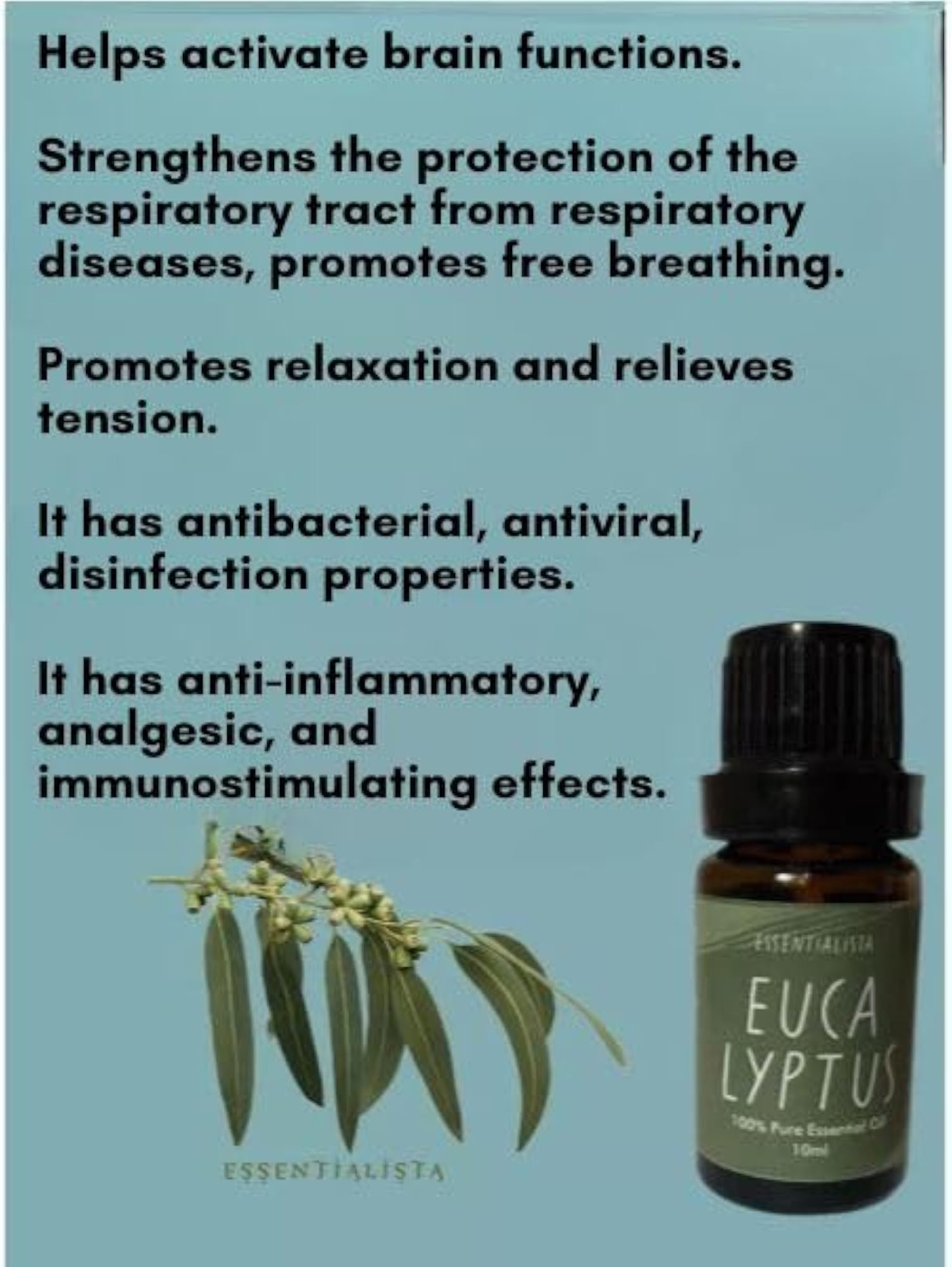 Essentialista Eucalyptus Essential Oil for Relaxation