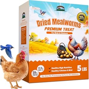 5LB Dried Mealworms for Birds Treats Bulk – Non GMO Meal Worms Dried for Chickens, Wild Birds, Turkeys, Reptile Food – High Protein Grub Worms for Chickens for Laying Hens, 100% Natural Chicken Worms
