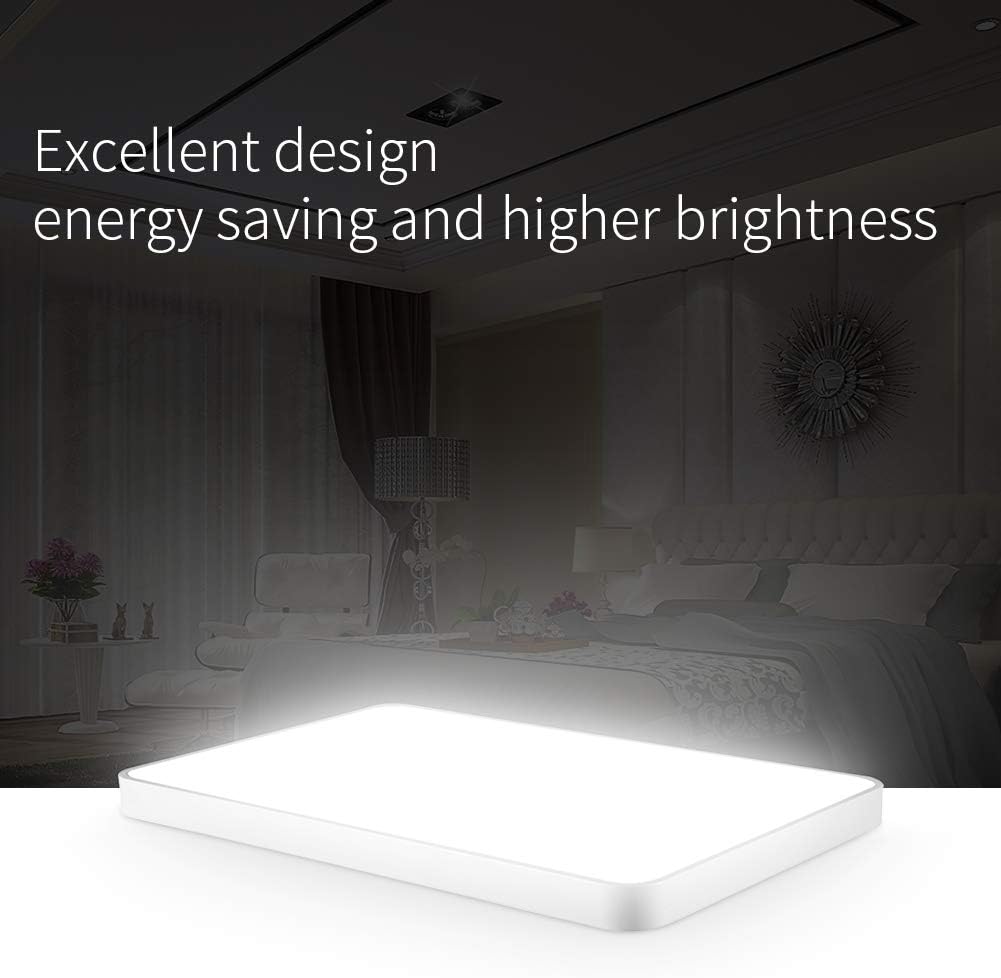 Viugreum LED Flush Mount Ceiling Light, 48W 2880 Lumens Square Panel Light, 6000K (Daylight White ) Downlights Lighting Fixture for Kitchen, Hallway, Bathroom, Stairwell