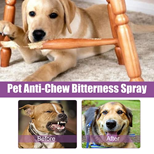 Beruhigungsspray Für Hunde 50 Ml Pheromonkopie Reduziert Destruktives Verhalten Und Angst Bei Reisen Tierarztbesuchen Und Gewittern. Beruhigendes Pheromonspray Für Hunde Und Katzen Für Haustiere