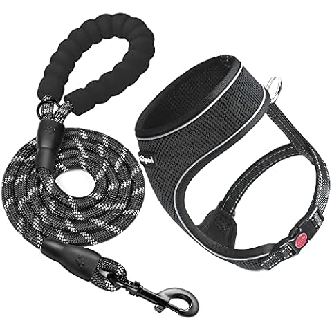 haapaw Reflective Dog Harness Soft Thickened Mesh Breathable Adjustable Puppy Dog Harnesses for Small Medium Dogs with Dog Lead Cover
