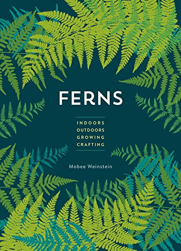 Ferns view 2