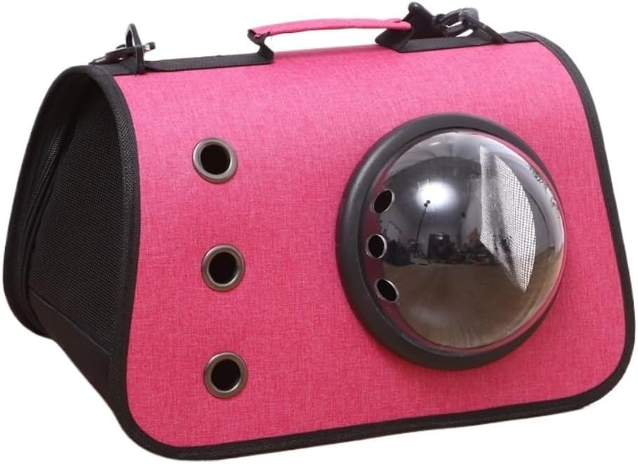 スタンド・イン 二重螺旋 番外編 - WWW.TRIVENIREALTORS.COM