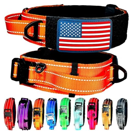 Dog Collar with Control Handle Quick Release Metal Buckle Heavy Duty Military Style 2" Width Nylon with USA Flag for Handling and Training Large Canine Male Or Female K9 (1505C-ORANGETAC)