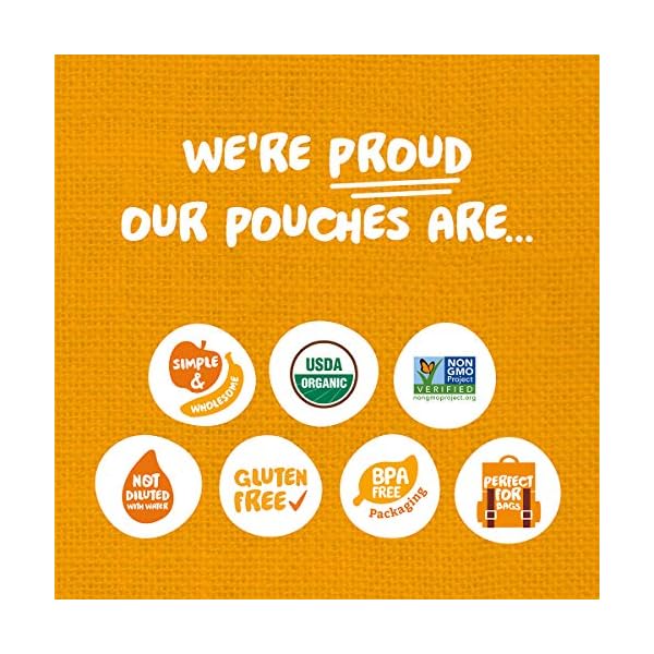 Pumpkin Tree Organics Super Oats & Seeds, Banana & Strawberry Fruit Packet, 4 Ounce (Pack of 10)