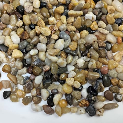 FANTIAN 2 Pounds Pebbles for Plants, 3/8 Inch Polished Pea Gravel. Decorative Stones River Rocks for Succulent Soil Cover, Cactus, Aquarium, Vase and Outdoor Garden Landscaping
