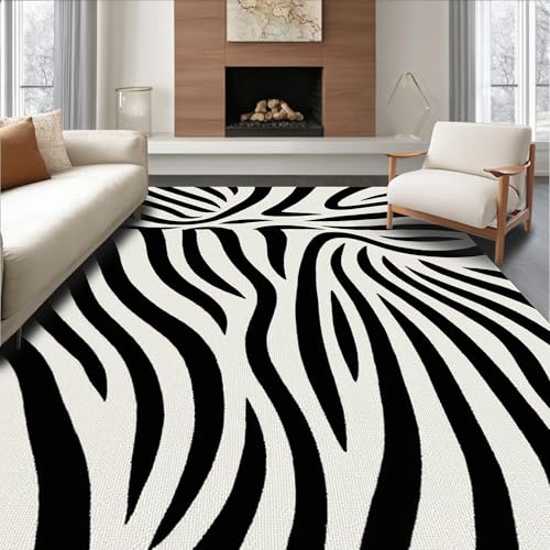 ODIKA Flatwoven High Traffic Area Rug 8x10, Zebra Crossing Unique