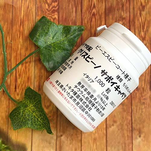 ��؎�q �y�N���X�s�[�m�z�T�{�C�L���x�c 1000���i�R�[�g�j