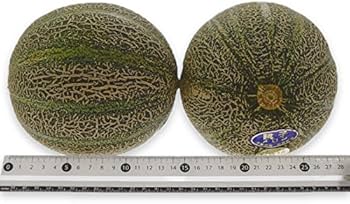 メロン V-01】 紅花メロン 4Lサイズ 1玉入り箱 | 紅花メロン | チェリーランド