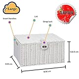 Zoom IMG-2 arpan large resin woven storage Zoom IMG-2 arpan large resin woven storage