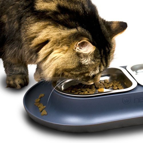 Buy Hepper NomNom Spill Proof Elevated Cat s for Food and Water