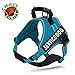 Chai's Choice Dog Harness Vest X Large (Teal Blue) | Comfortable & Lightweight Soft Padded Vest for Service Dogs | No-Choke & Easy Control Pet Oxford | 3M Reflective Patches for Dog Visibility