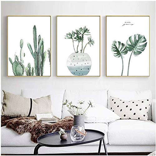 Cactus affiches et gravures photos décoration murale toile 50x70cm