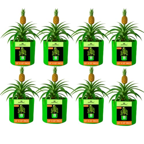 Image of Kingwell grow bags 15x15 inch pack of 8 Grow Bag For Terrace Garden Leafy Vegetable Plant Grow Bags Fruits Growing Containers For terrace Gardening