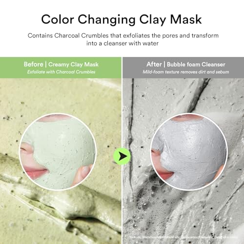 Image of Abib Pore Clay Pack Cleanser Heartleaf Charcoal Foam, 4.05 fl oz, Mousse Form, Oil Control, Unscented