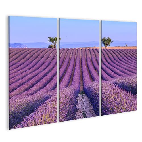 Tableau sur toile champs de lavande islandburner triptyque salon