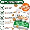 Flea and Tick Prevention for Dogs Pills - 250 Soft Chews - Natural Dog Flea & Tick Control - Oral Defense Treatment for Dogs Supplement - Vet Formulated Chews - All Breeds & Ages - Made in USA #2