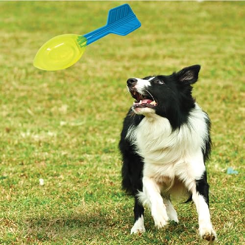 Nerf Hunde-Vortex-Ball mit lautem Quietscher, 30,5 cm, langlebiges interaktives Apportierspielzeug für Hunde, Hellblau/Grün