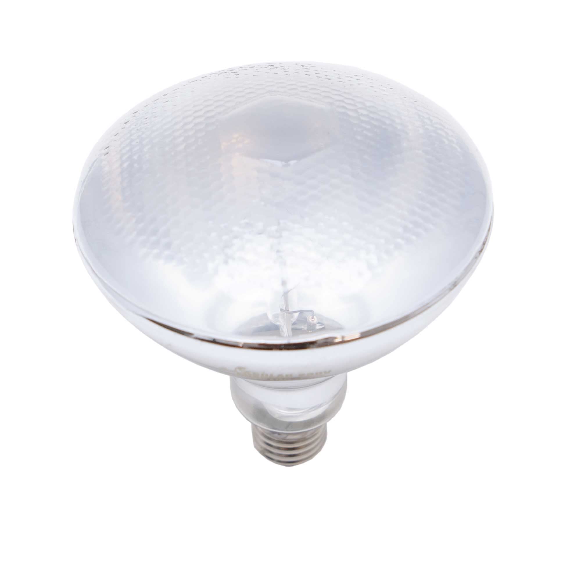 ECONLUX 160 W SolarRaptor MVL PAR38
