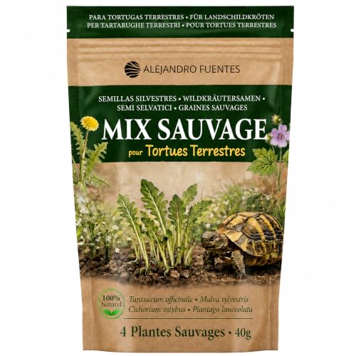 AF® - Graine Tortue Terrestre à Semer, Mélange 4 Plantes Sauvages | Graine Pissenlit, Mauve, Chicorée, Plantain | Plante pour Tortue Terrestre Hermann à...