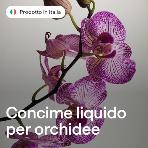 Organic Liquid Fertiliser 1000 ml for Orchids – For Rich and Lush Flowering – Measuring Cap – Made in Italy Illica  
Org
