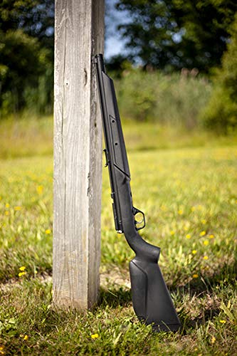 Benjamin 397S .177-Caliber Bolt Action Variable Pump Air Rifle, Black #TOP5