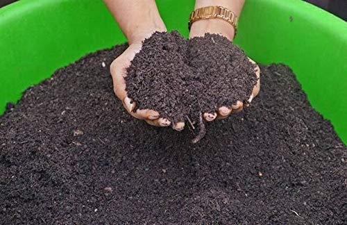 leaf mould compost for plants 2.9 kg (B08WJ3P22J) Amazon Price History, Amazon Price Tracker
