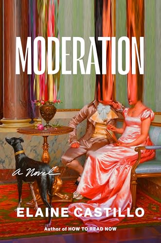 Cover of Moderation: A Novel