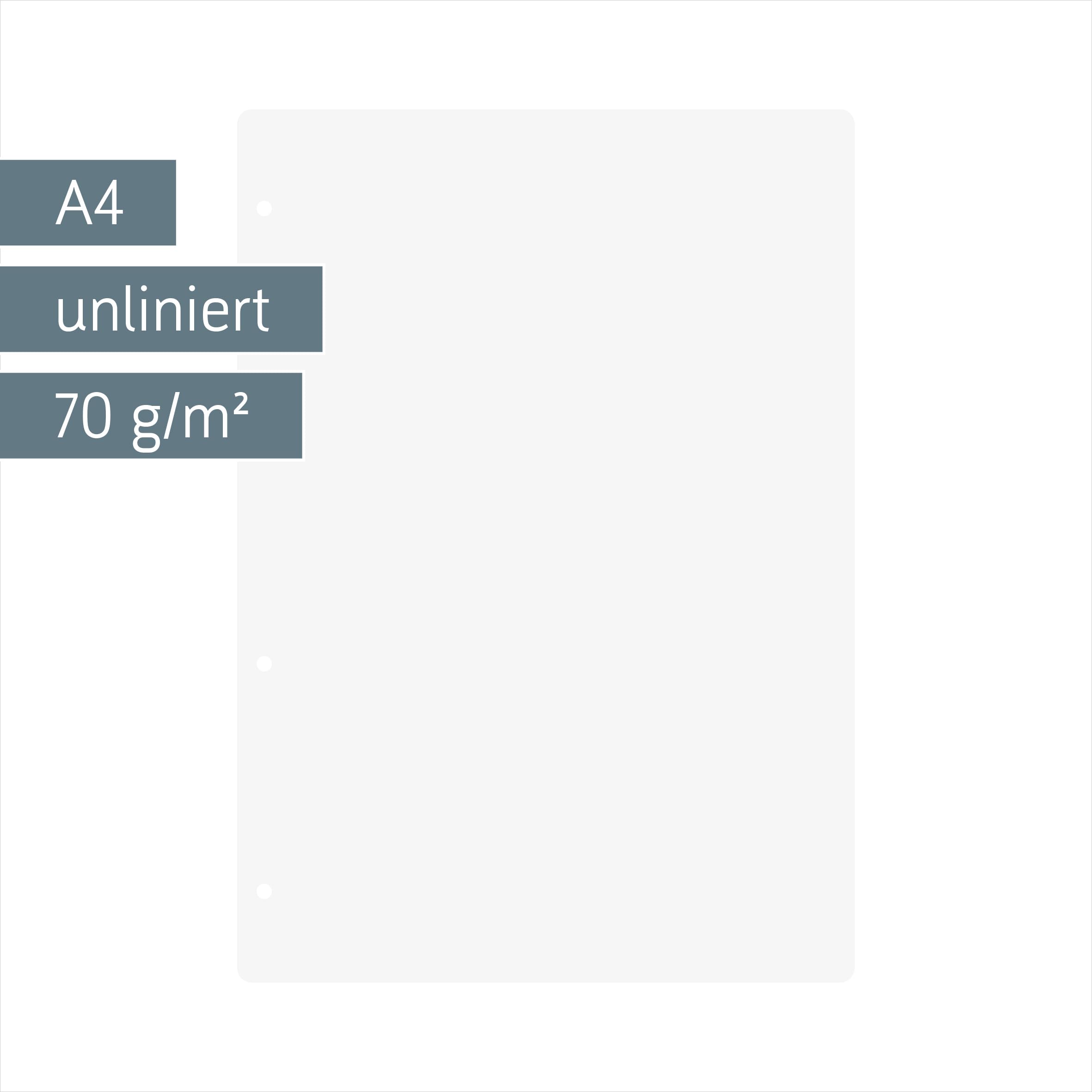 Confezione 50 Fogli Ricambio Rinforzati Per Quaderni Ad Anelli A4 - Foto 2