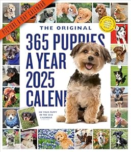 365 Puppies-A-Year Picture-A-Day Wandkalender 2025