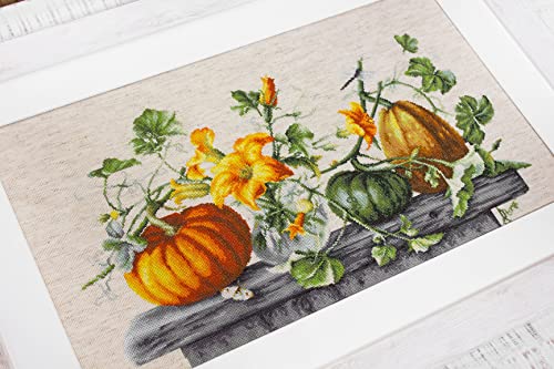 Luca-S Cross Stitch Set, Multicoloured, 49x35cm - Image 2