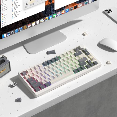 Image of dagaladoo Retro Double Shot PBT keycaps 127 Keys dye sumlimation Shine Through keycaps Set Cherry Profile Custom Keyboard Key caps for 60 /65 /75 /TKL /96 /100% US Layout Mechanical Keyboard(Grey /Beige)