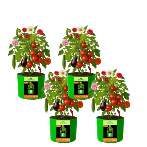 Image of Kingwell Plant Grow Bags 12x12 inch pack of 4, Bags for Plants Gardening Home, Grow Bags for Terrace Gardening