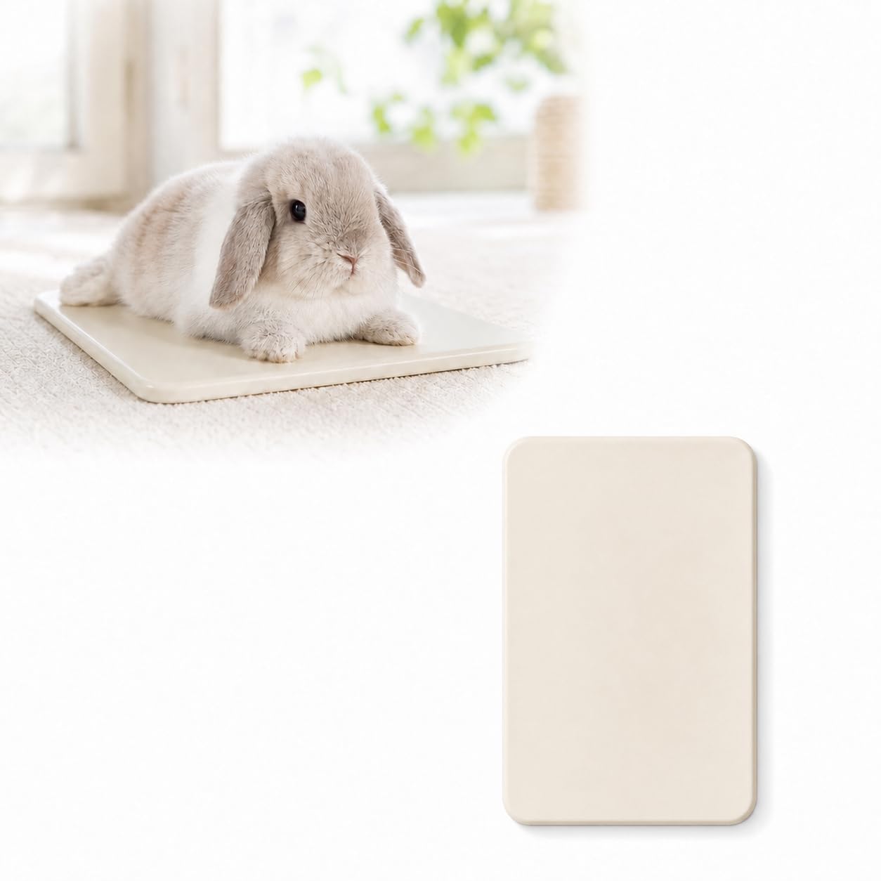 Amazon | うさぎ ひんやりプレート 陶器製 クールマット 自然ひんやり