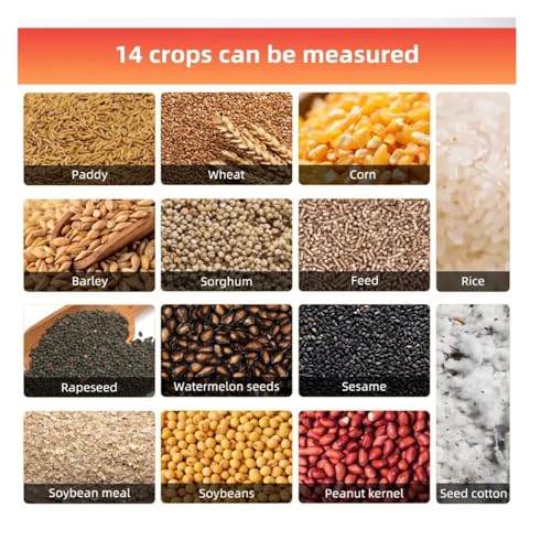 Humidimètre numérique pour grains évitant les moisissures du riz