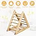 HOMGX Kids Wooden Triangle Climbing Ladder, Solid Pine Wood Triangle Climbing Toy for Toddler, 3 Different Climbing Ladders, Baby Indoor Playground Gym Daycare Climbing Toys for 3+ Boys & Girls