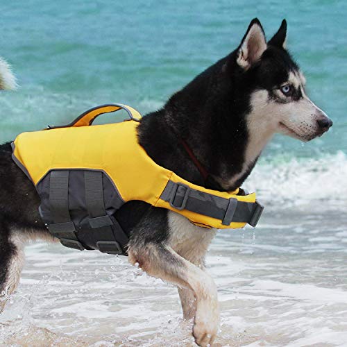 10 Best Rated Dog Life Jacket in 2023 (July update)