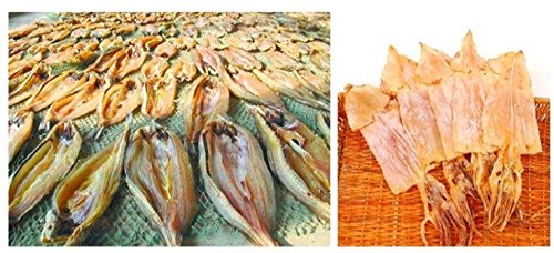 Food Dehydrator 3 Tray Hanging Drying Net/Non Electric/For Drying Herbs, Fruits, Vegetables, Fish (15.7 X 15.7 X 21.5 Inches, Blue) #TOP6